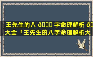 王先生的八 💐 字命理解析 🐳 大全「王先生的八字命理解析大全图片」